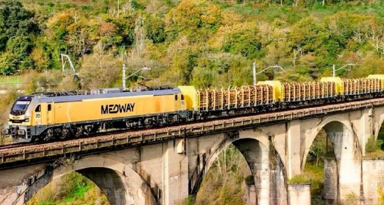 Transporte de Madeira com a MEDWAY